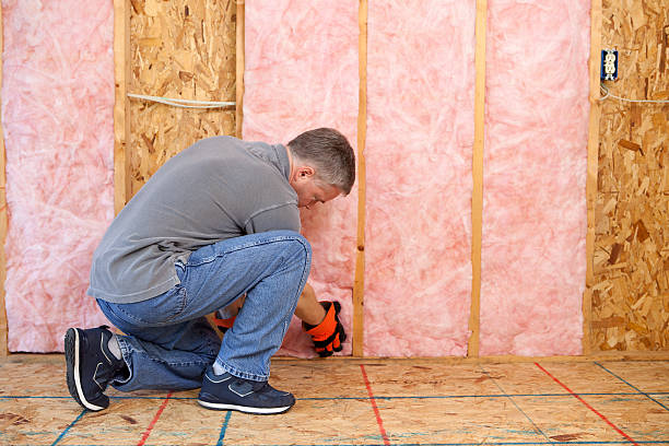 Best Insulation Maintenance and Repair in New Baltimore, MI